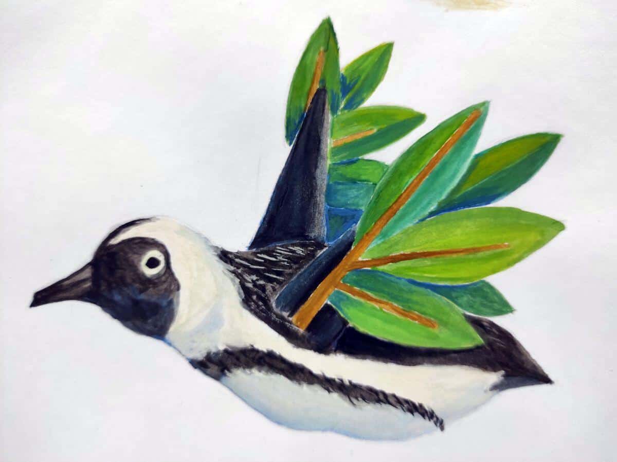 El pingüino Max, que cumplió su sueño de volar – cuento para dormir